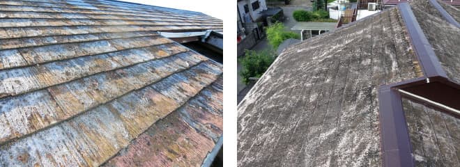 スレート屋根の酷い苔・カビ
